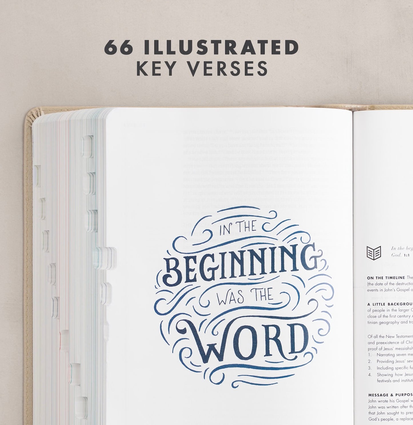 CSB She Reads Truth Bible | Champagne LeatherTouch