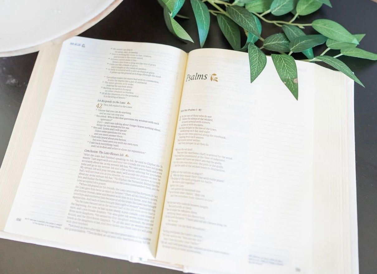 NLT Notetaking Bible: Lisbon Theme Bible