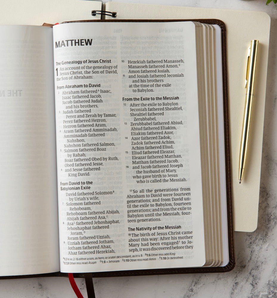 CSB Castaway Walnut Bible