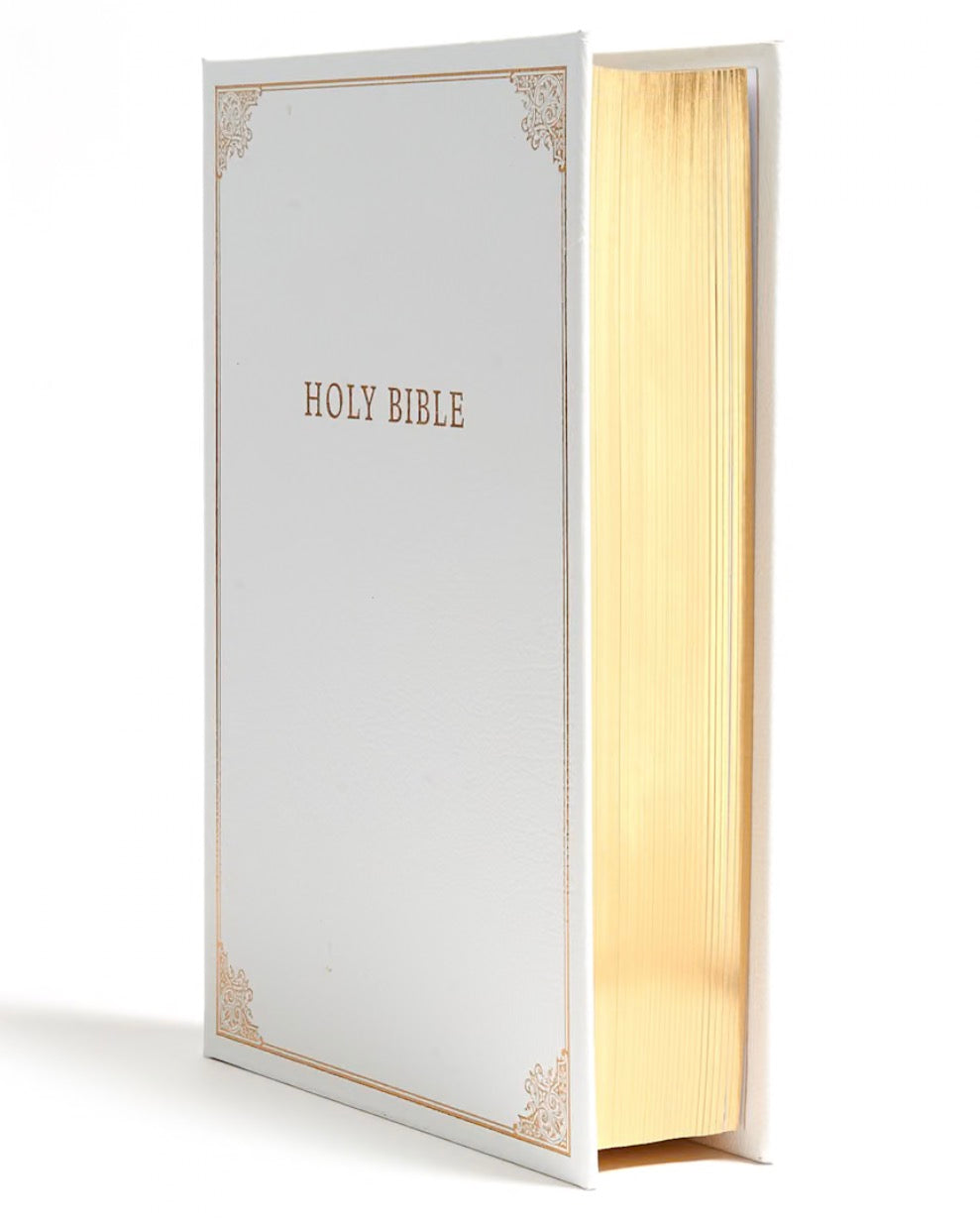Family Bible CSB