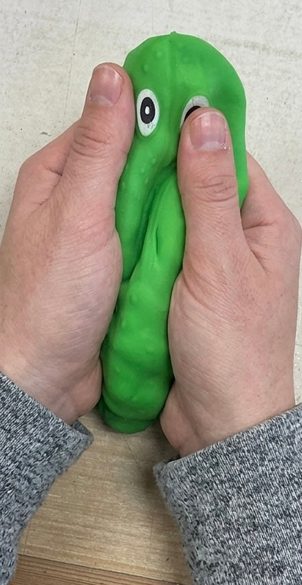 Squishy Pickle {Final Sale}