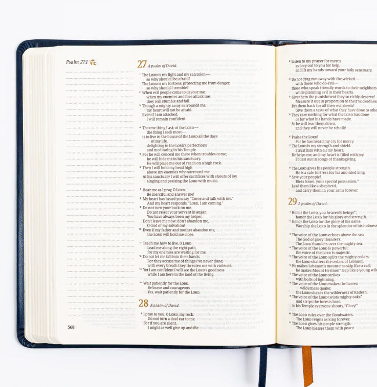 NLT Notetaking Bible : Versailles Theme