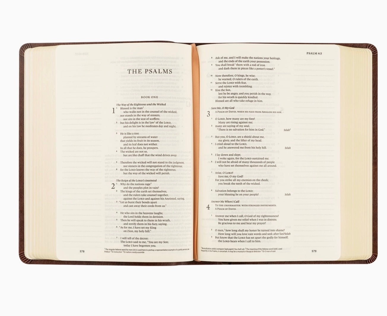 ESV: Palma Journaling Bible