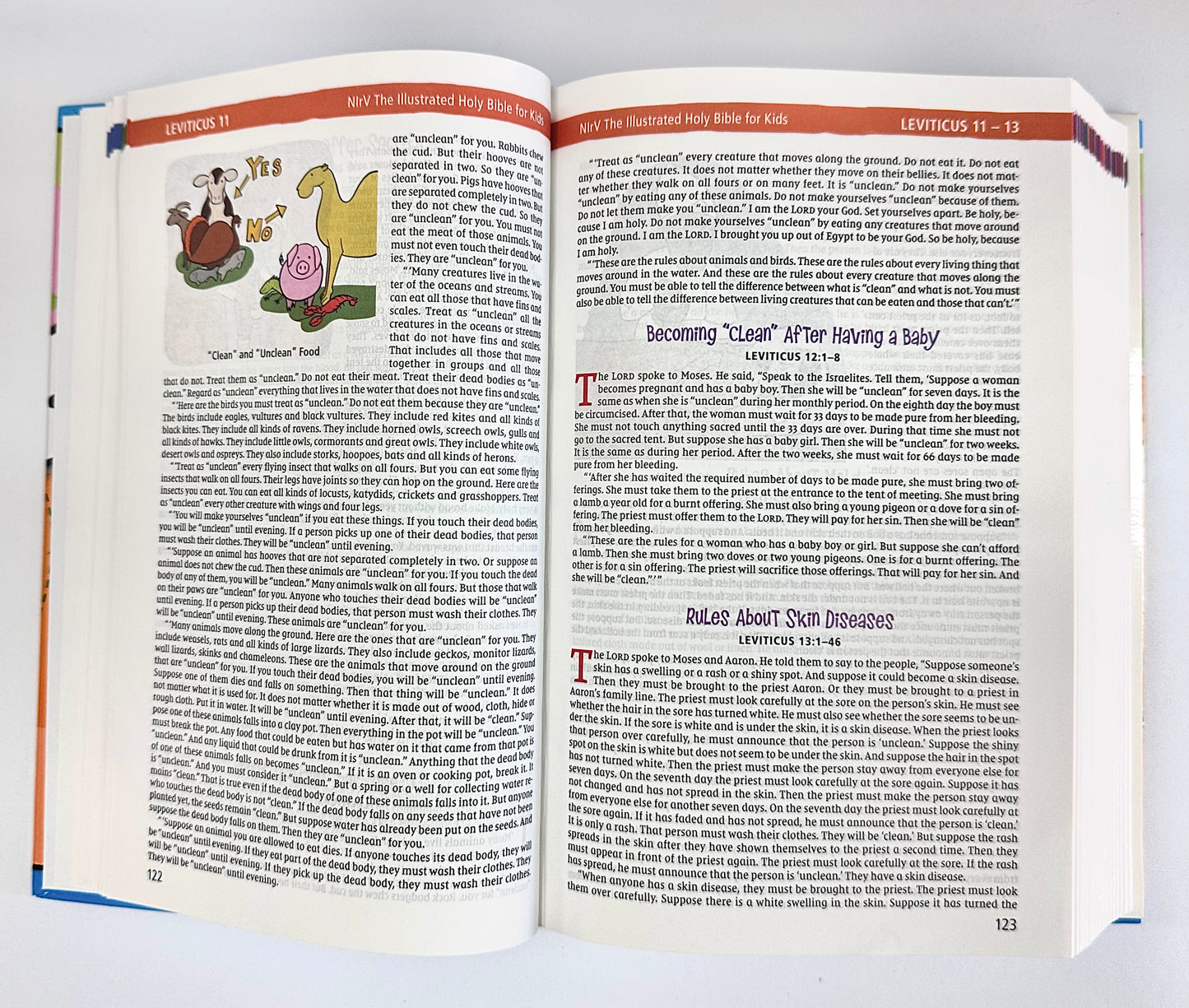 The Illustrated Holy Bible for Kids