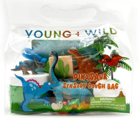 Dinosaur Sensory Dough Kit
