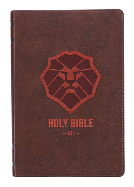 KJV Kid’s Bible