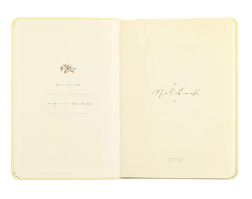 Belfast Notebook