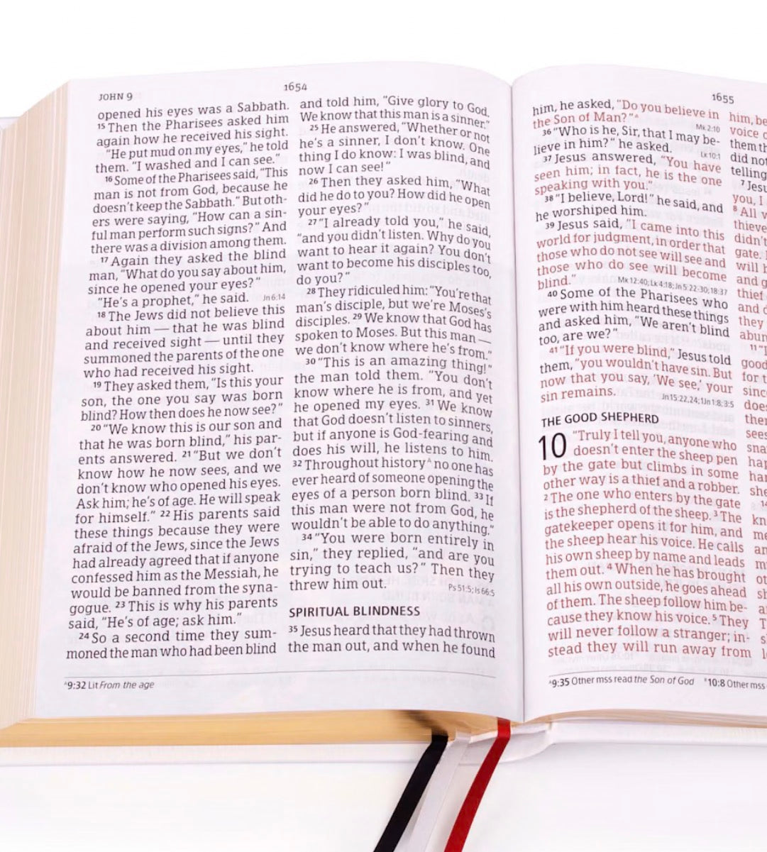 Family Bible CSB