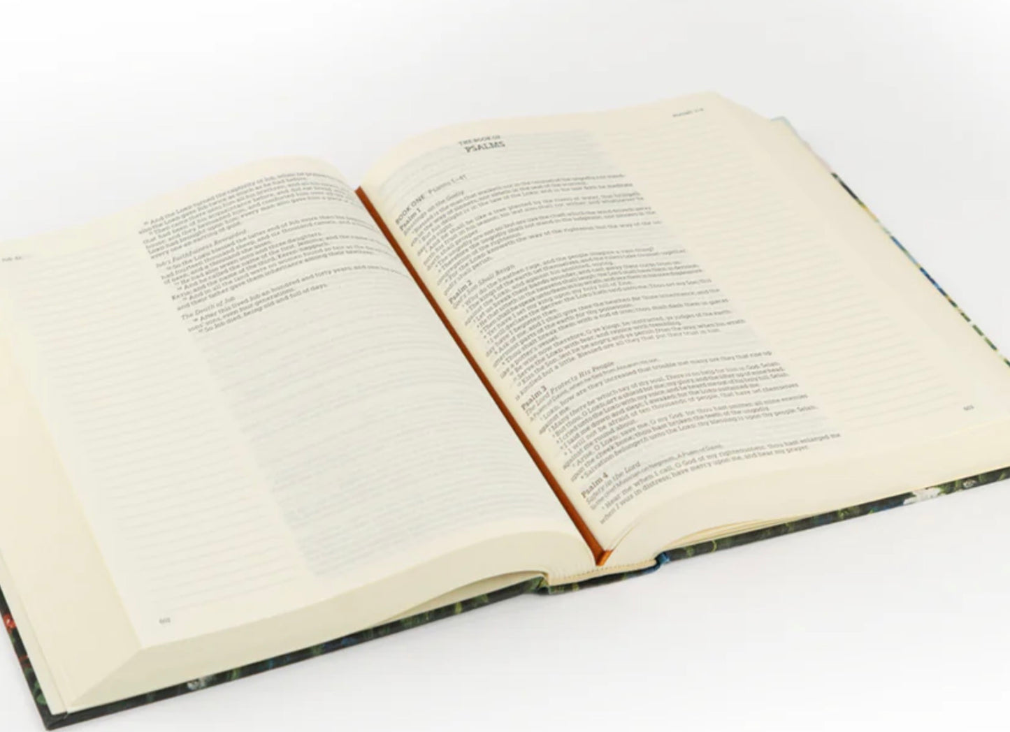 KJV Large Print: Coram Theme