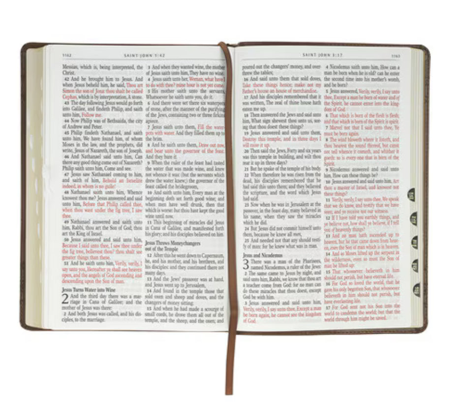 Crown of Thorns KJV Bible