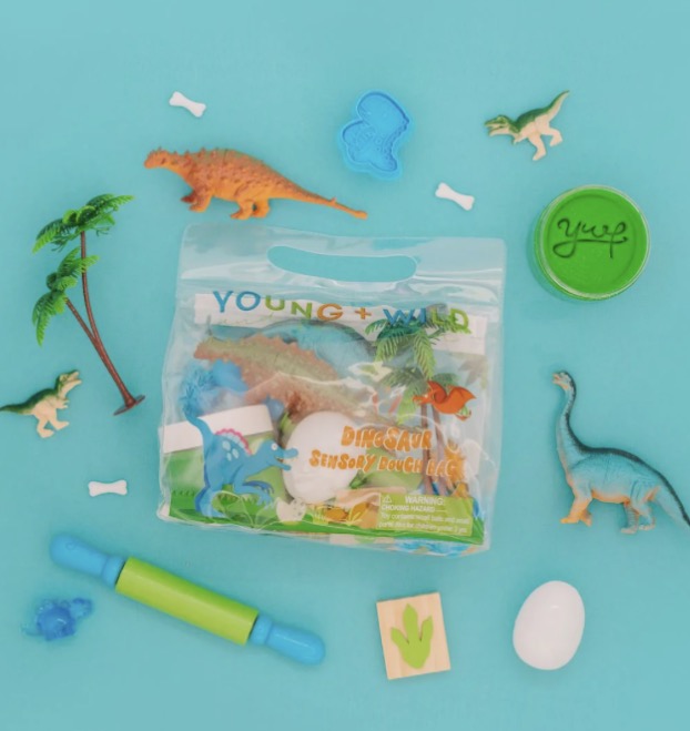 Dinosaur Sensory Dough Kit