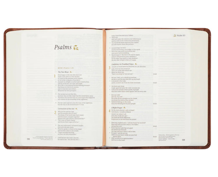 CSB Notetaking Bible : Vienna Theme