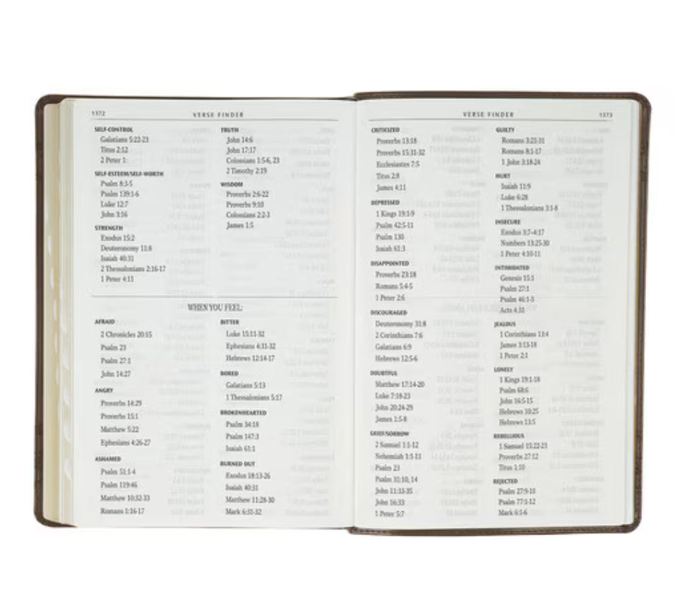 Crown of Thorns KJV Bible