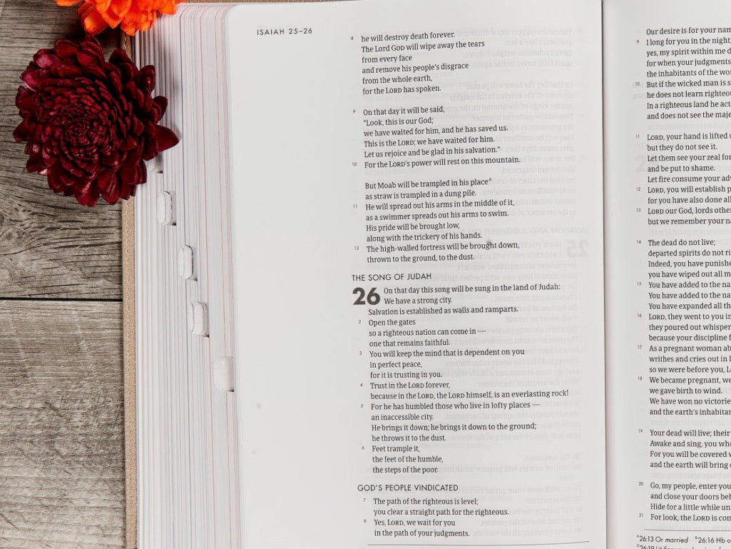 CSB She Reads Truth Bible | Champagne LeatherTouch