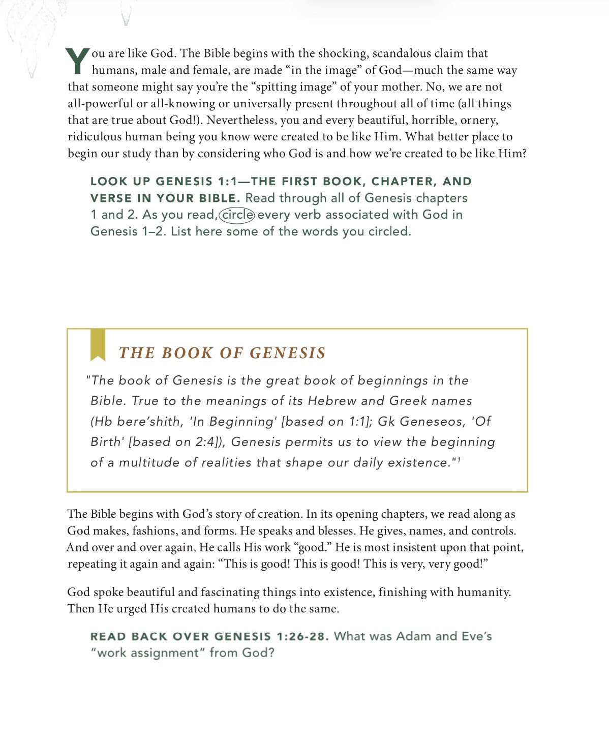 Alive: Growing In Your Relationship With Jesus