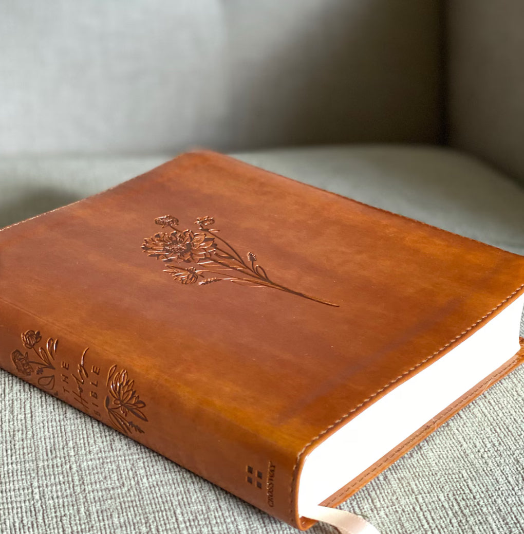 ESV Journaling Bible: Sierra Theme