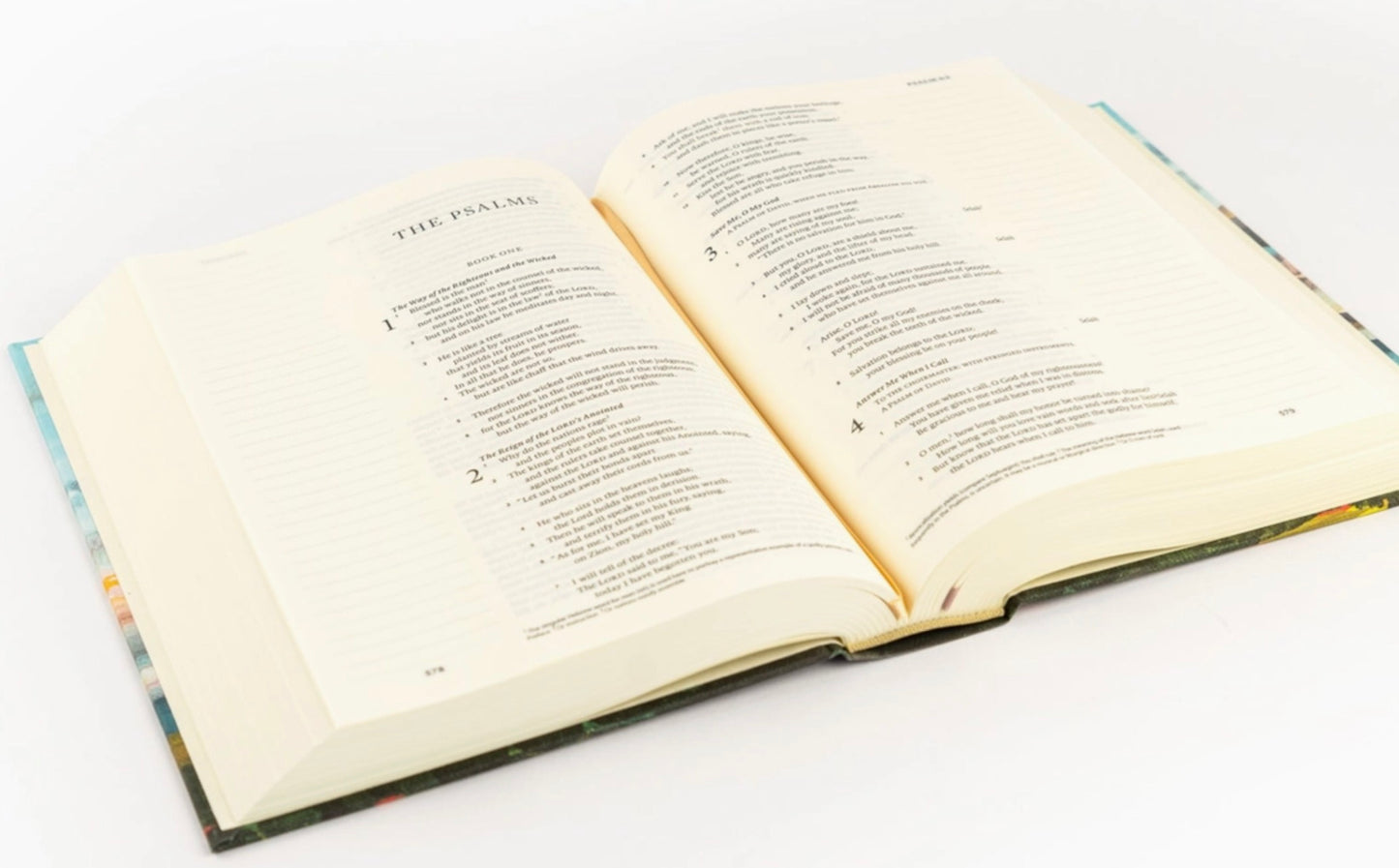 ESV: Santa Lucia Journaling Bible