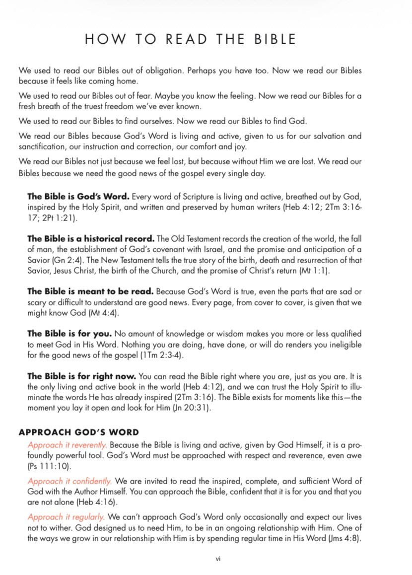 CSB She Reads Truth Bible | Champagne LeatherTouch