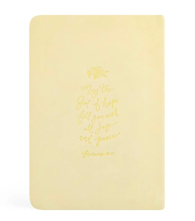 Belfast Notebook