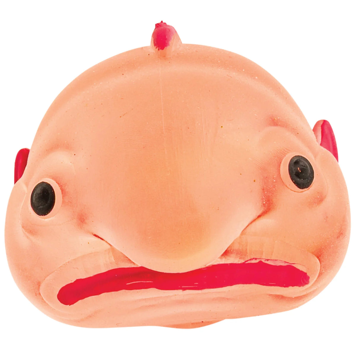 Sugar Blob Squishy