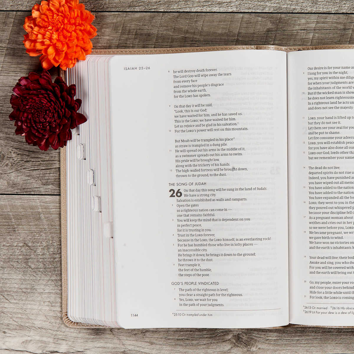 CSB Bible | Champagne Gold