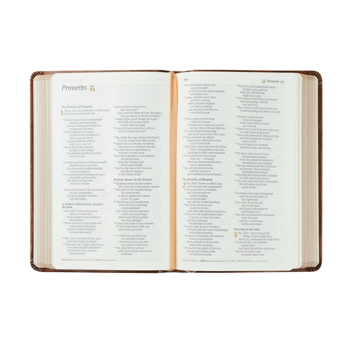 NLT Compact Aurora Bible
