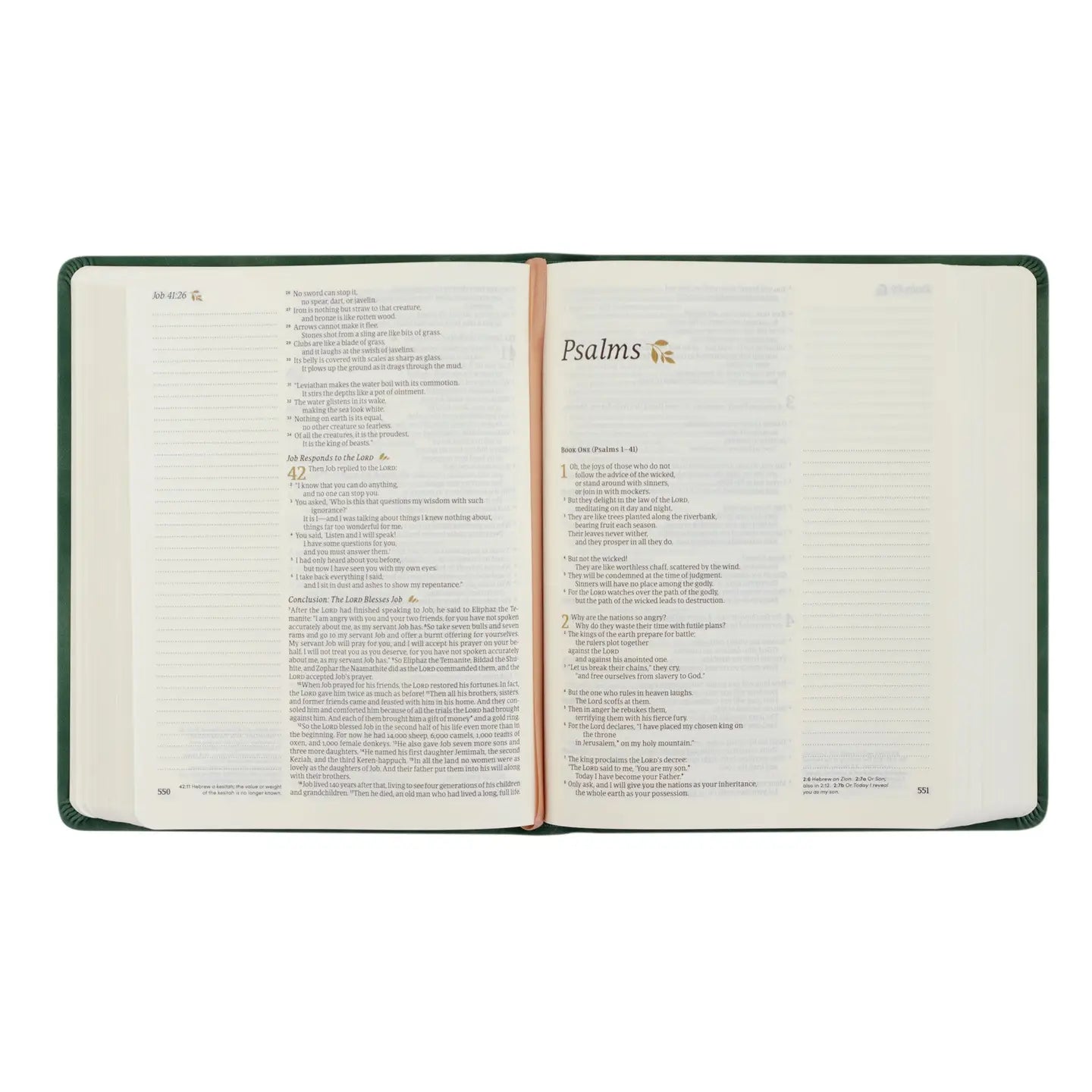 NLT Notetaking Bible: Summerside Theme