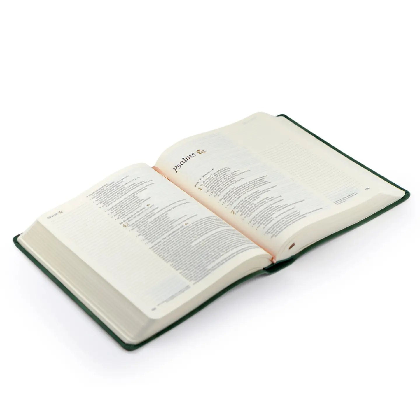 NLT Notetaking Bible: Summerside Theme