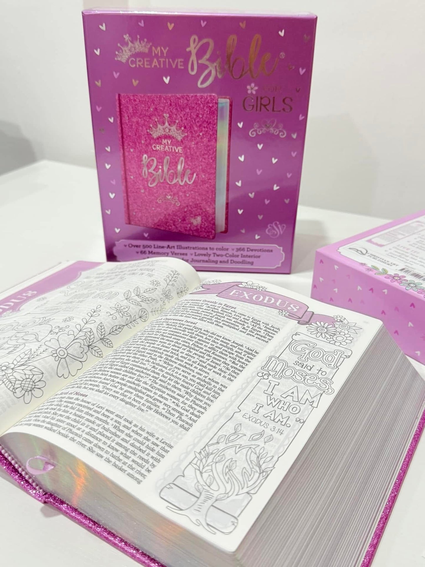 My Creative Bible for Girls