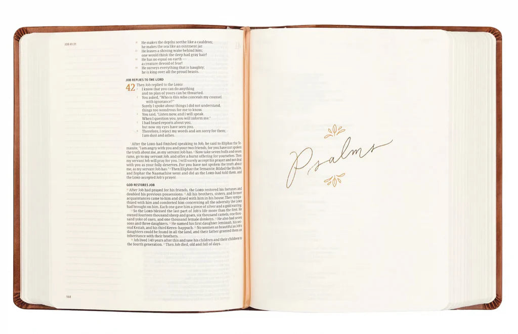 CSB Notetaking Bible : Vienna Theme