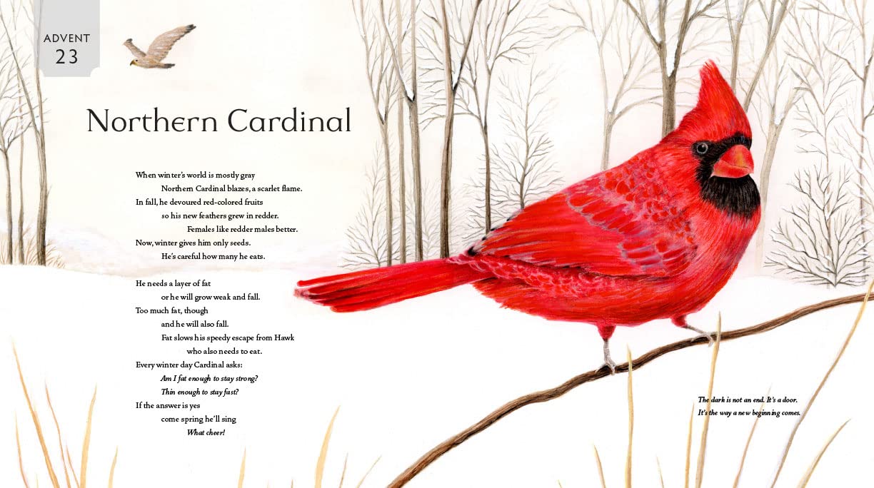 All Creation Waits by Gayle Boss