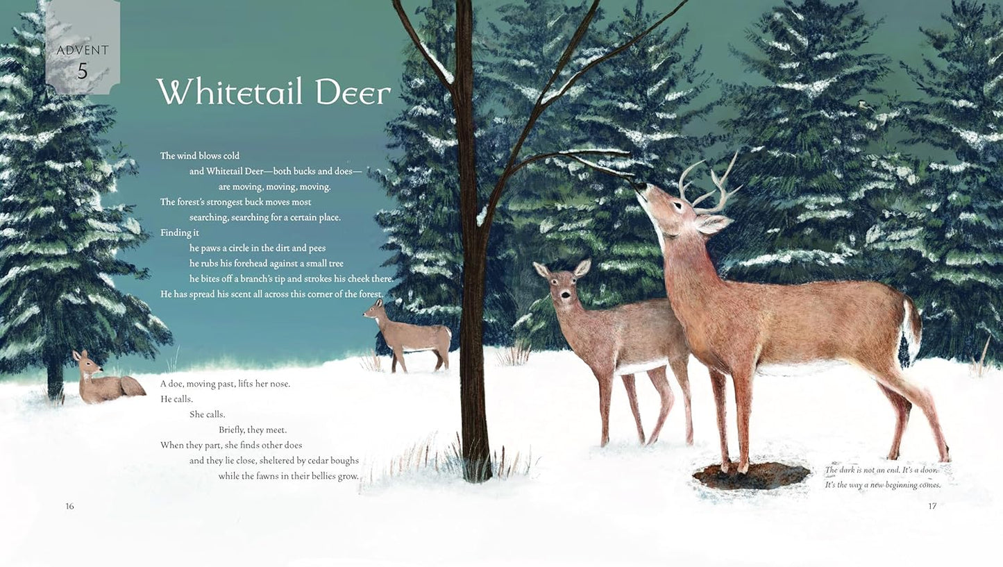 All Creation Waits by Gayle Boss