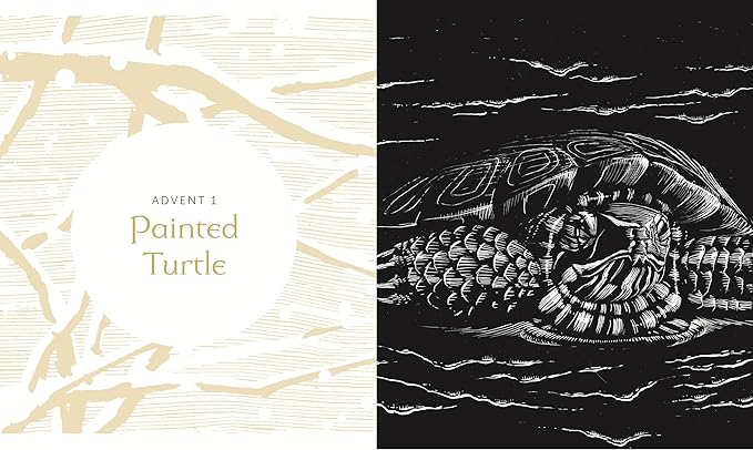 The Advent Mystery of New Beginnings by Gayle Boss