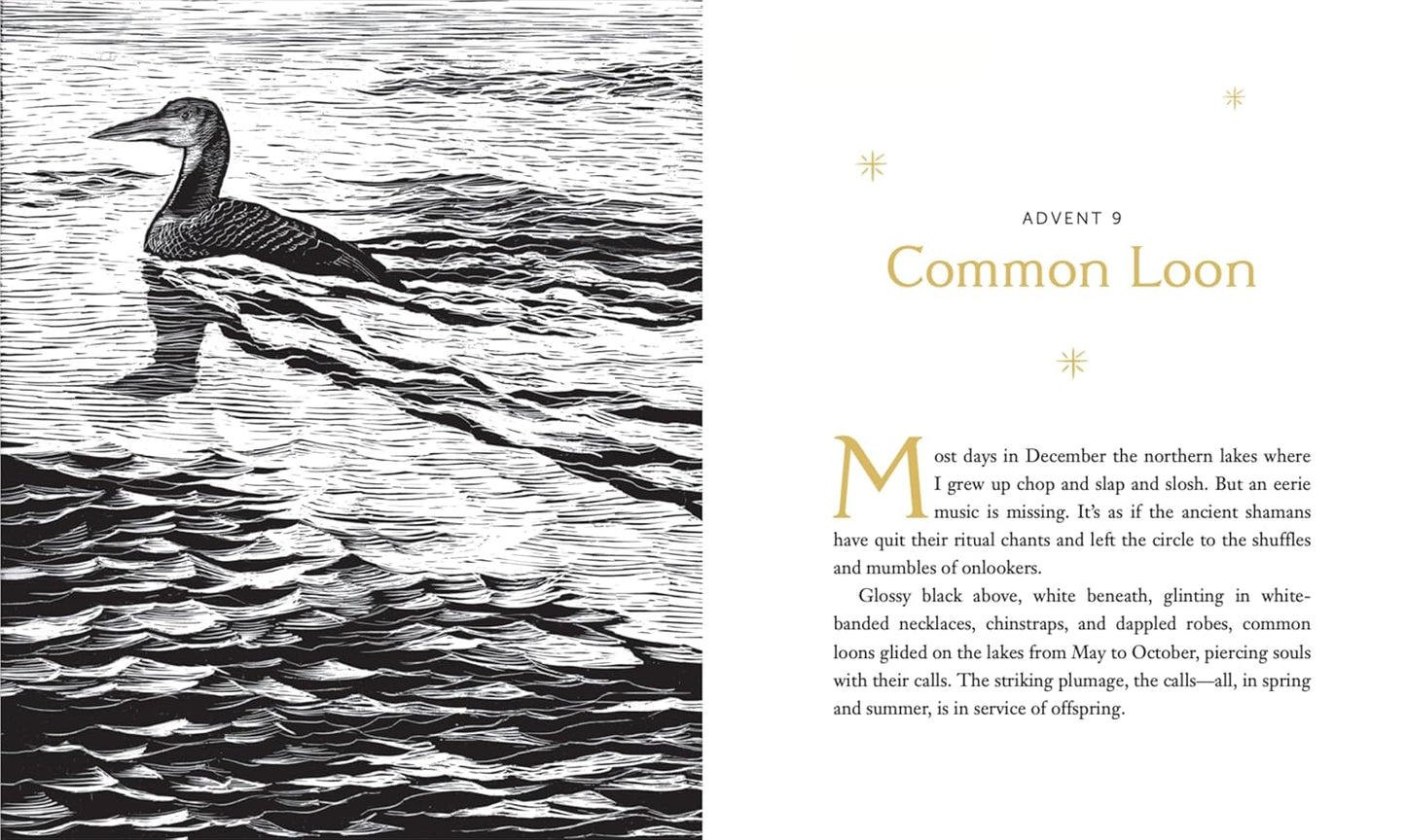 The Advent Mystery of New Beginnings by Gayle Boss