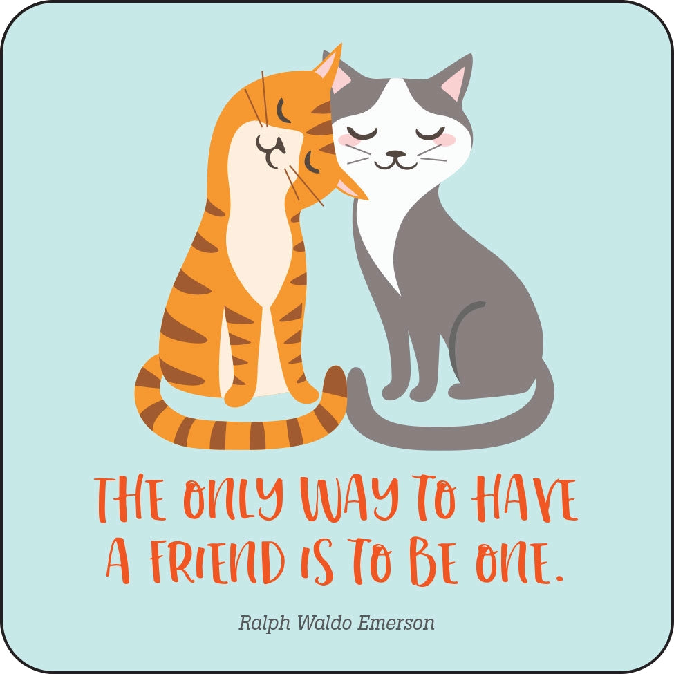 Kindness Lunchbox Notes