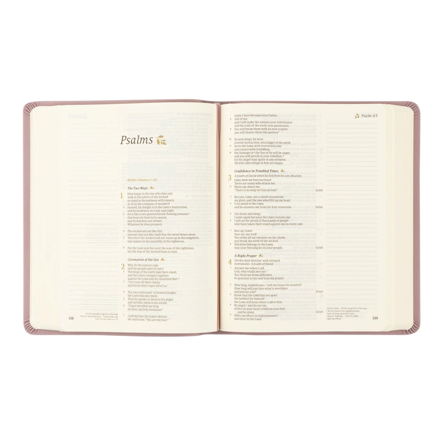 CSB Notetaking Mauve Bible