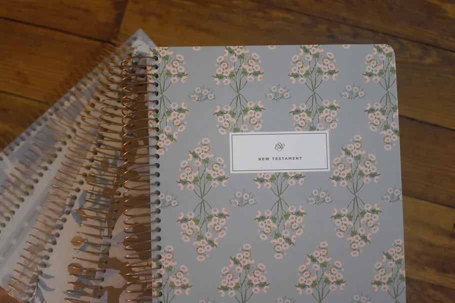 ESV Spiral-Bound Artist Edition Journaling Bible