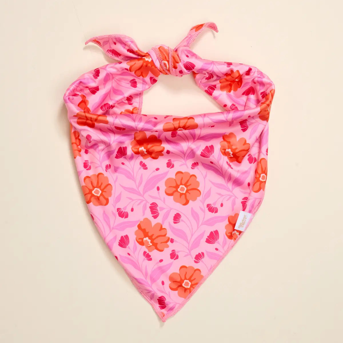 Pet Bandana