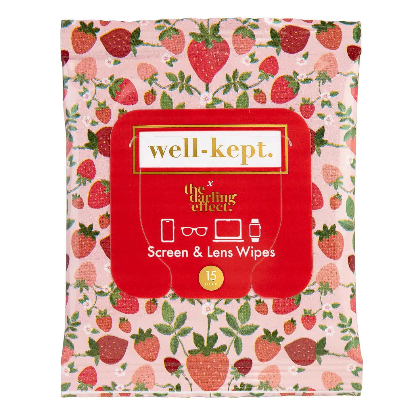 Screen Wipes