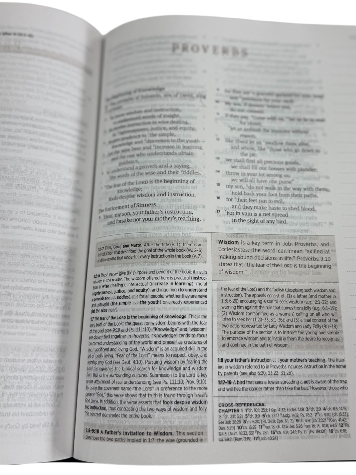 The Lion & the Lamb ESV Study Bible