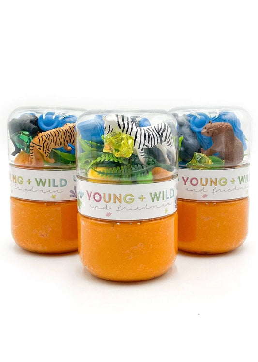Zoo Grab & Go Dough Jars