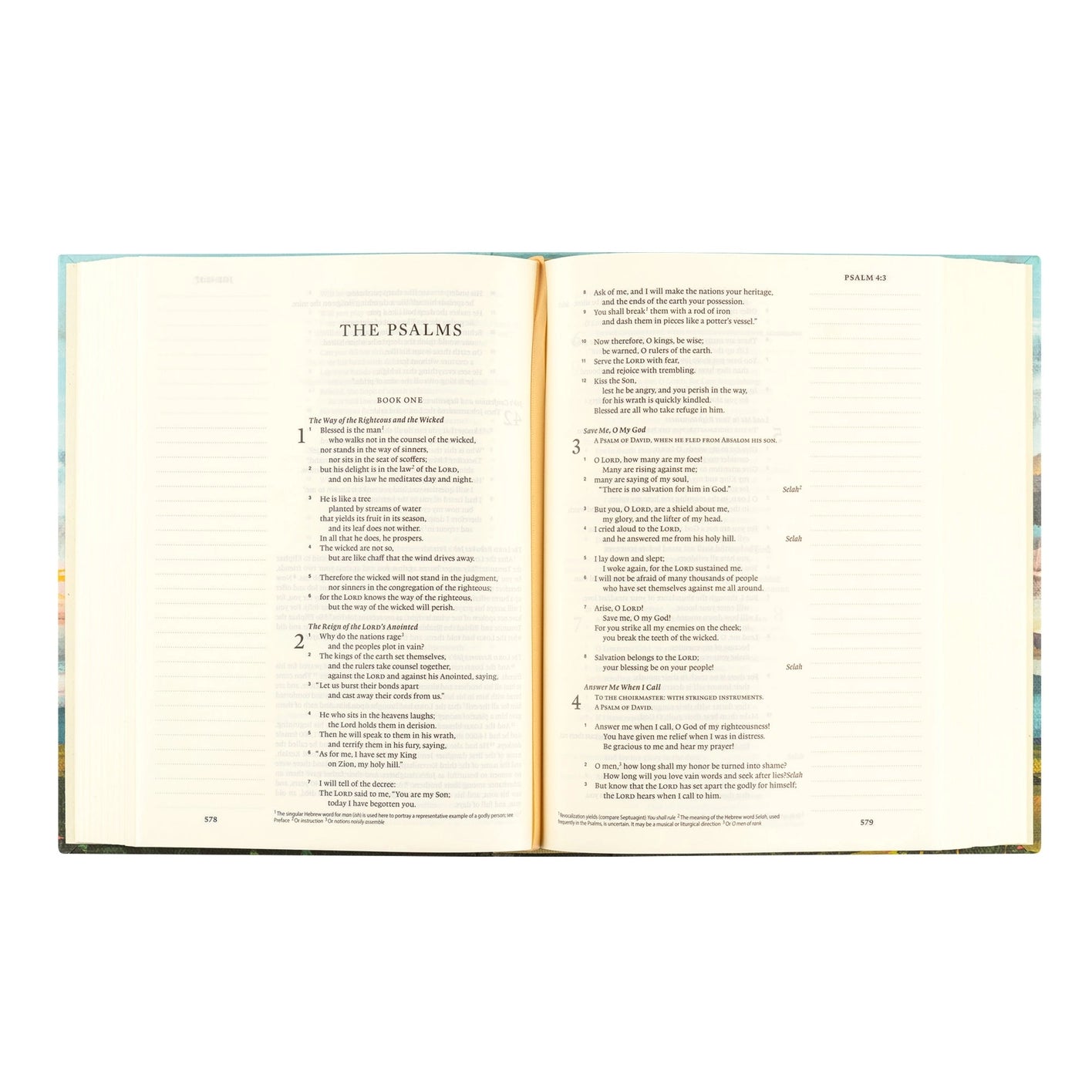 ESV: Santa Lucia Journaling Bible