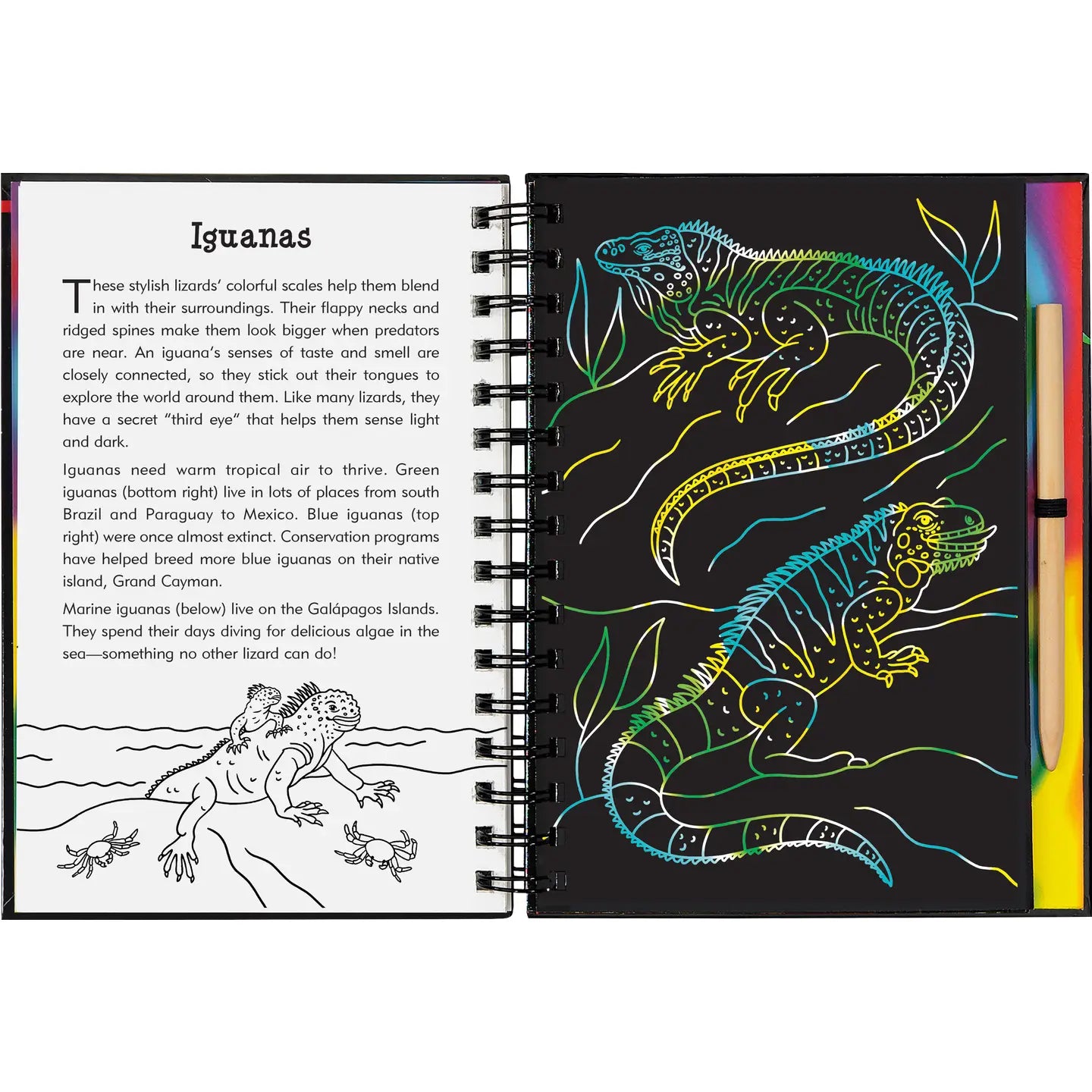 Scratch & Sketch: Reptiles & Amphibians