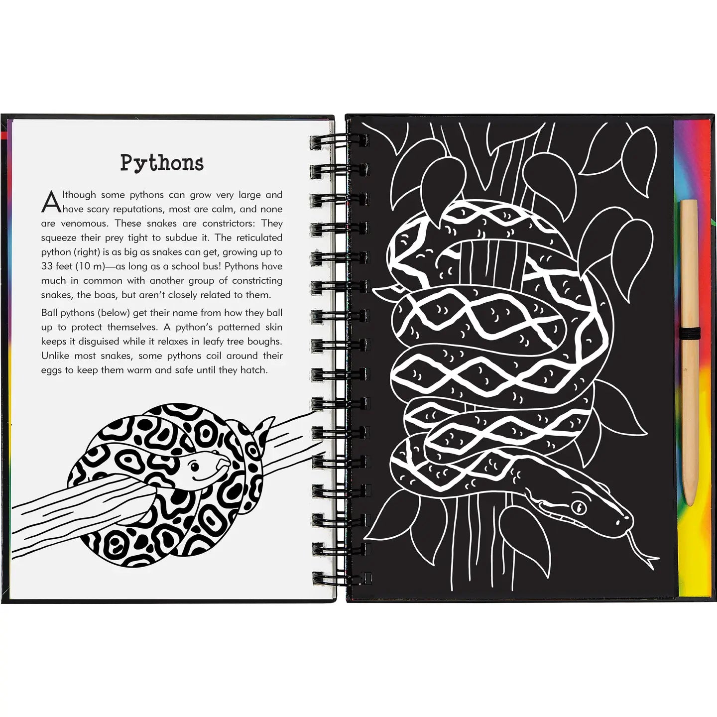 Scratch & Sketch: Reptiles & Amphibians