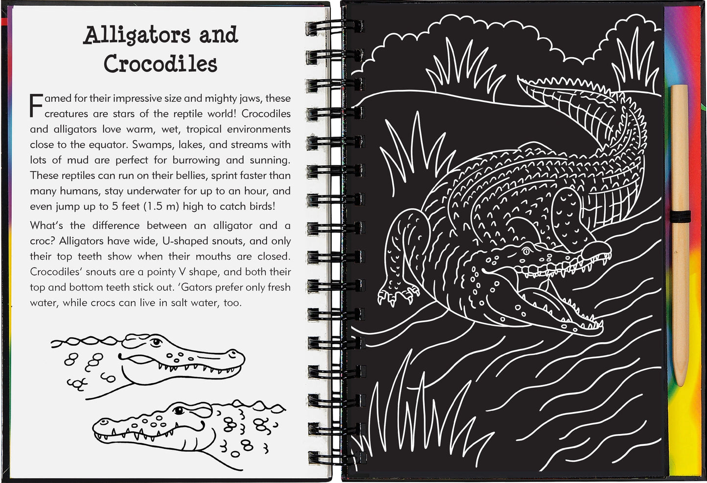 Scratch & Sketch: Reptiles & Amphibians