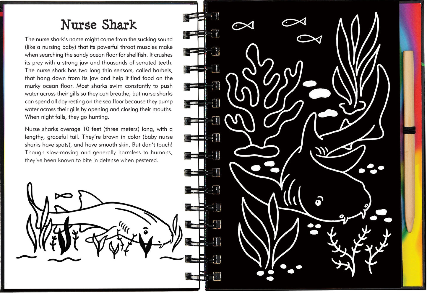 Scratch & Sketch: Sharks