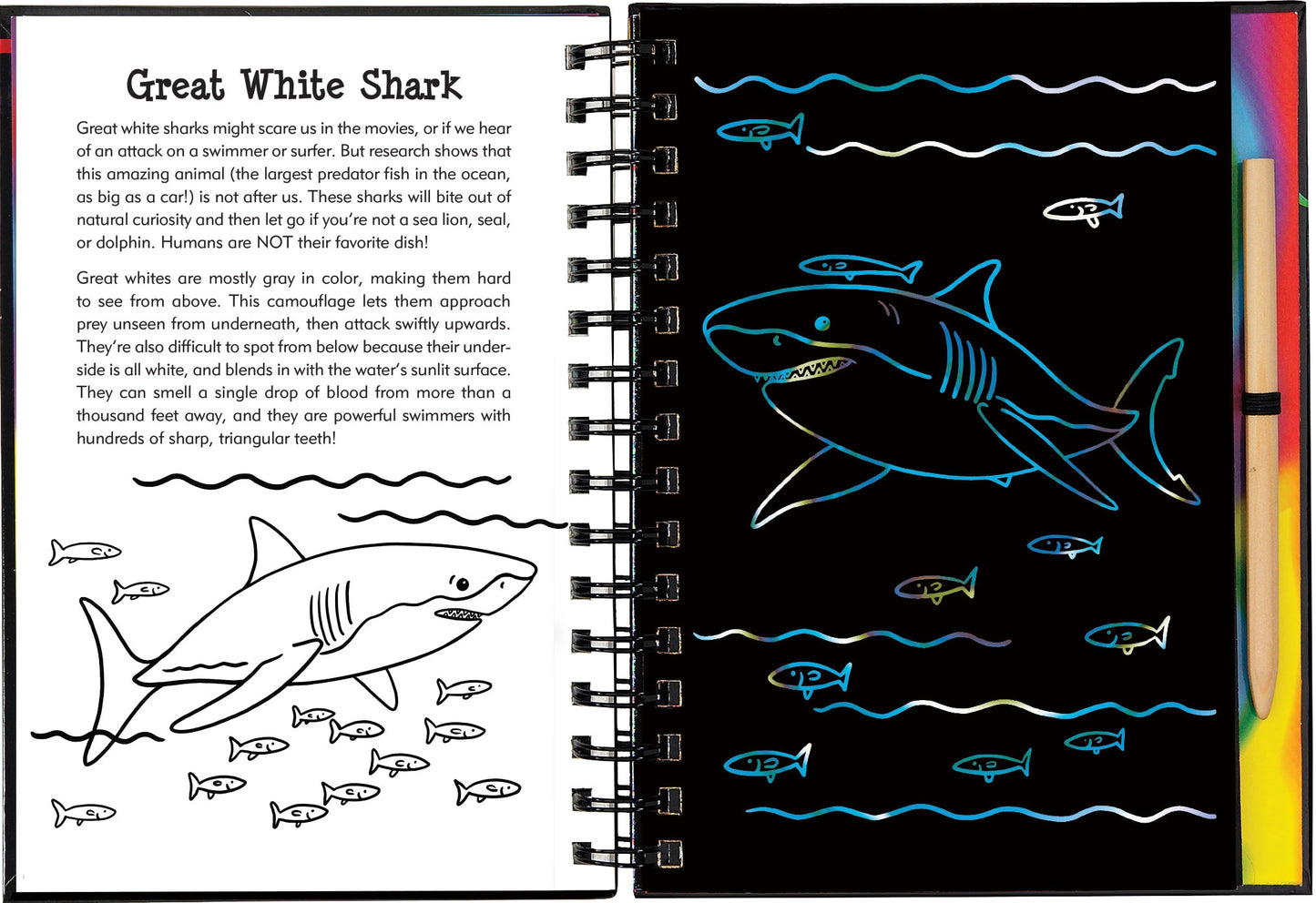 Scratch & Sketch: Sharks