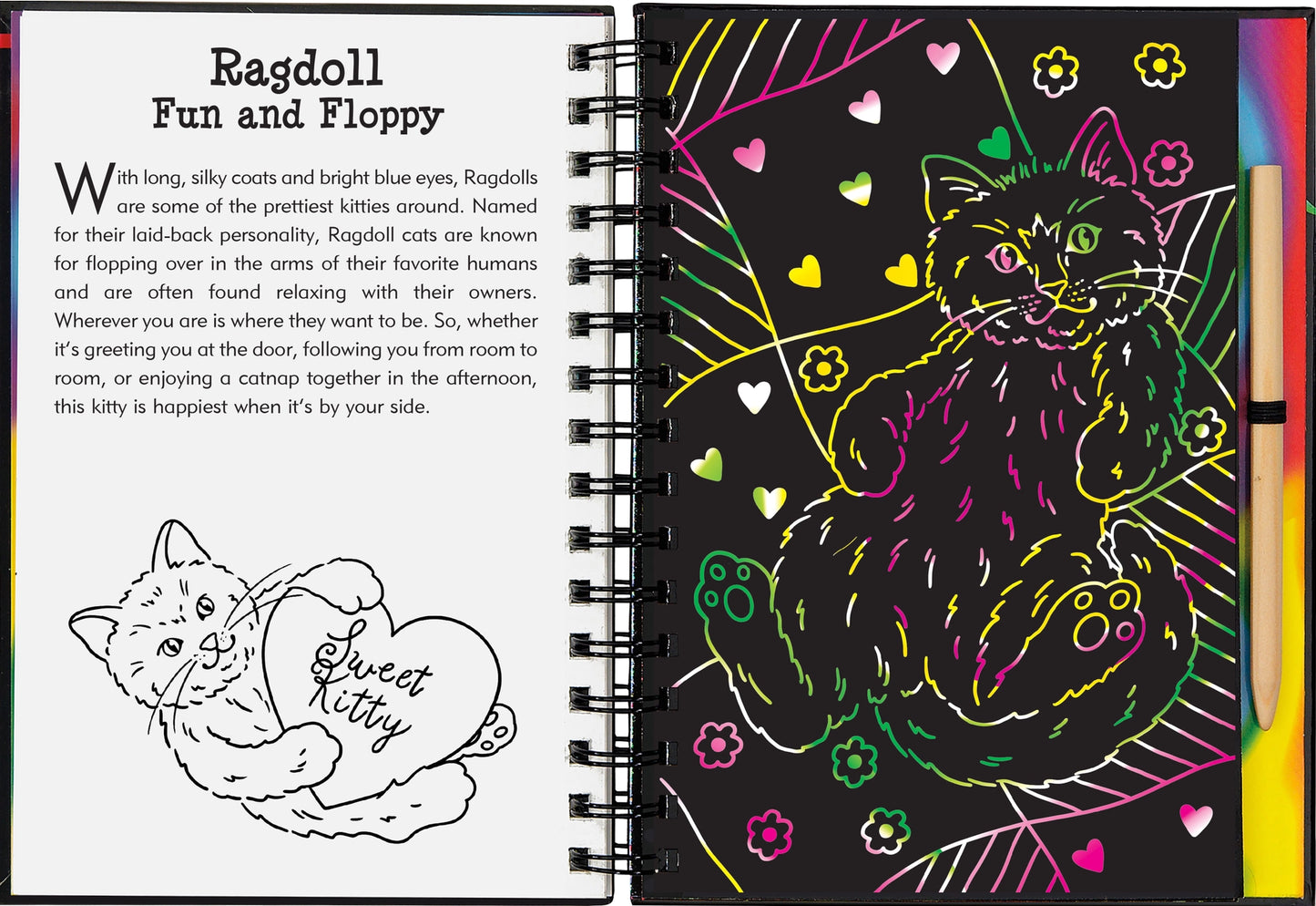 Scratch & Sketch: Kittens