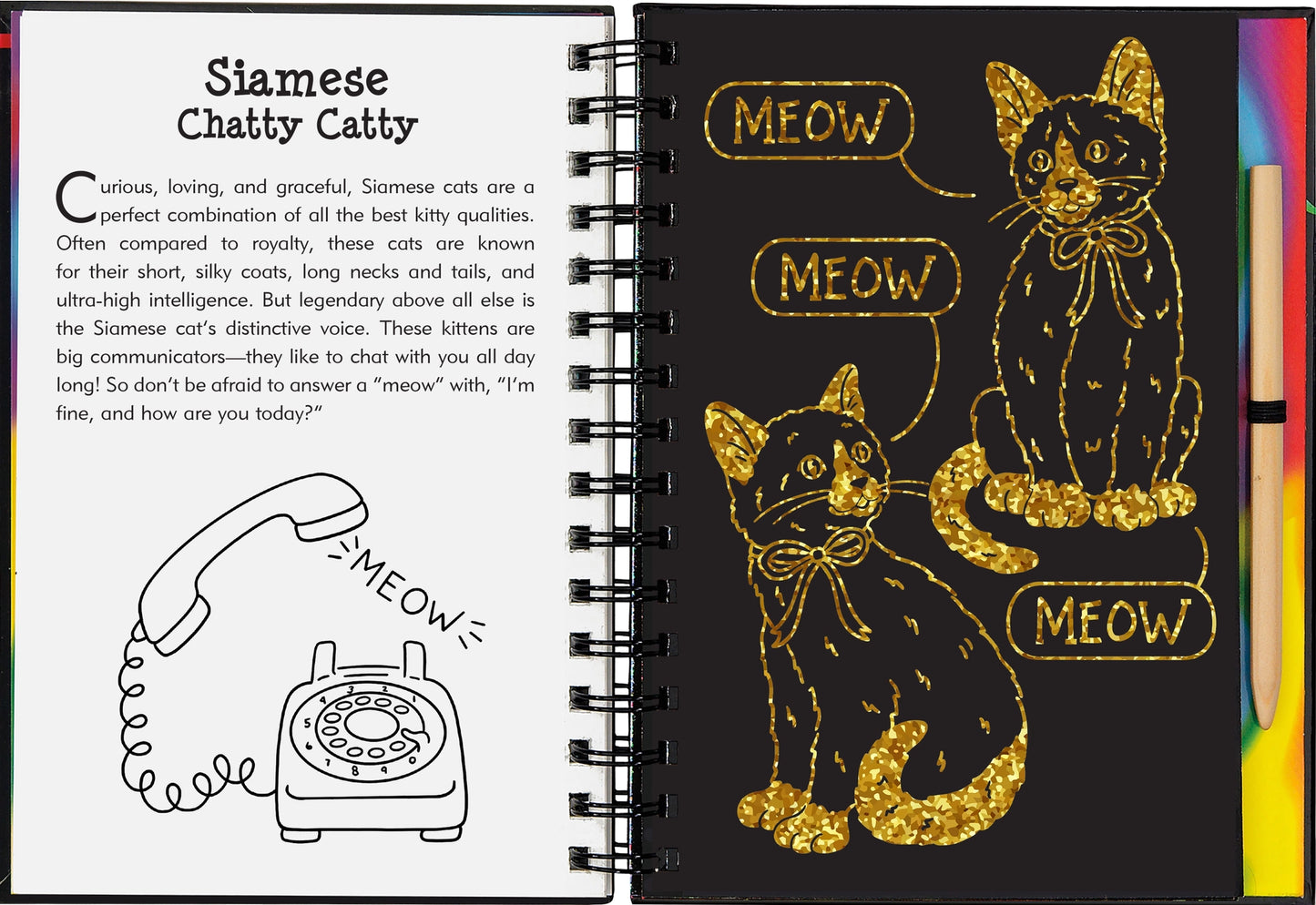 Scratch & Sketch: Kittens