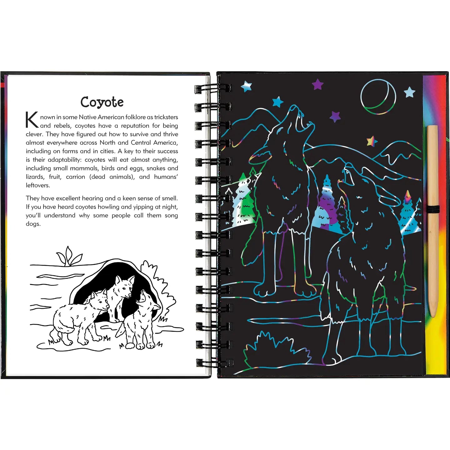 Scratch & Sketch: Nocturnal Animals
